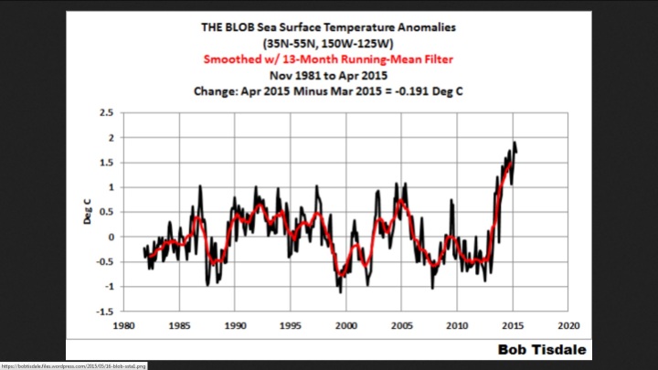 Der Verlauf der Meeresoberflächentemperaturen (SST) bis April 2015