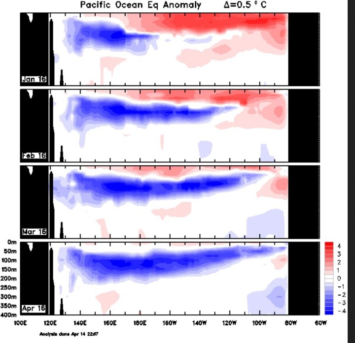 Der Plot zeigt die Entwicklung der Temperaturanomalien unter Wasser im äquatorialen Pazifik von September bis 14. Mitte April 2016. Die kalten Anomalien im Westen (blau) haben sich im Dezember 2015 deutlich weiter nach Osten verlagert, während die warmen Anomalien nach Osten und nach oben verdrängt und insgesamt abgeschwächt wurden. Quelle: 