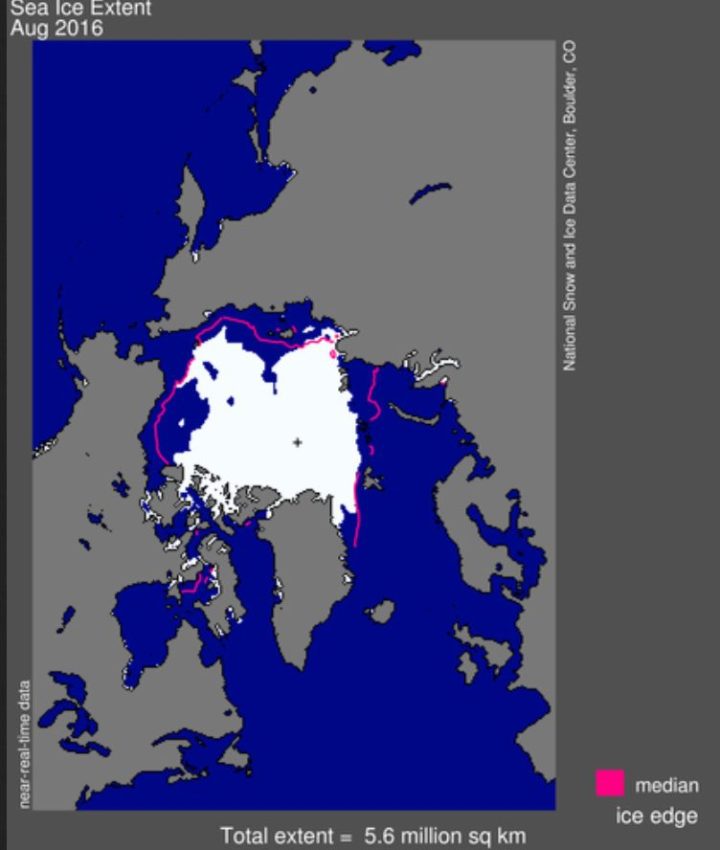 Die NSIDC-Meereisgrafik (extent) von August 2016 zeigt eine durchgehende Veresisung des Westausgangs der nordlichen Route durch die Nordwestpassage. Die süliche - Amundsen's - Route - weist im Südteil unterbtochne Eisfelder aus (weiße Flächen). Quelle: 