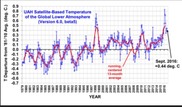Die UAH-Grafik zeigt die monatlichen Abweichungen (blaue Linie) der globalen Temperaturen der unteren Troposphäre mit Schwerpunkt um 1500 m (TLT) sowie den laufenden Dreizehnmonatsdurchschnitt (rote Linie) von Dezember 1998 bis Juli 2016. Wegen eines kräftigen global zeitversetzt wärmenden El Niño-Ereignisses ab Sommer 2015 gab es auch bei den unverfälschten Datensätzen von UAH nach Monats-Rekordwerten von November 2015 bis März 2016 im Juni einen deutlichen Rückgang auf 0,34 K gegenüber dem Vormonaten Mai und April. Im Juli und August 2016 stagniert die globale Abkühlung mit einem geringen Anstieg auf 0,44 K Abweichung vorübergehend. Quelle: